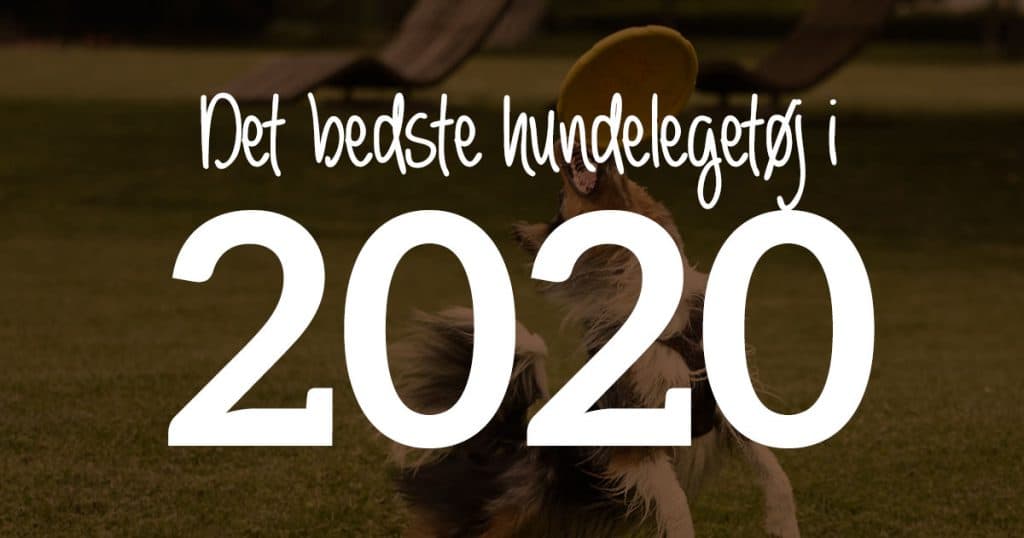 Det bedste hundelegetøj i 2025