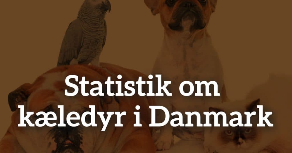 Statistik om kæledyr i Danmark (2000 + 2021)