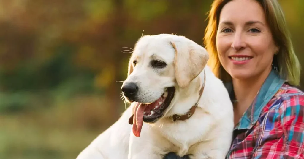 Hvad er probiotika til hunde?