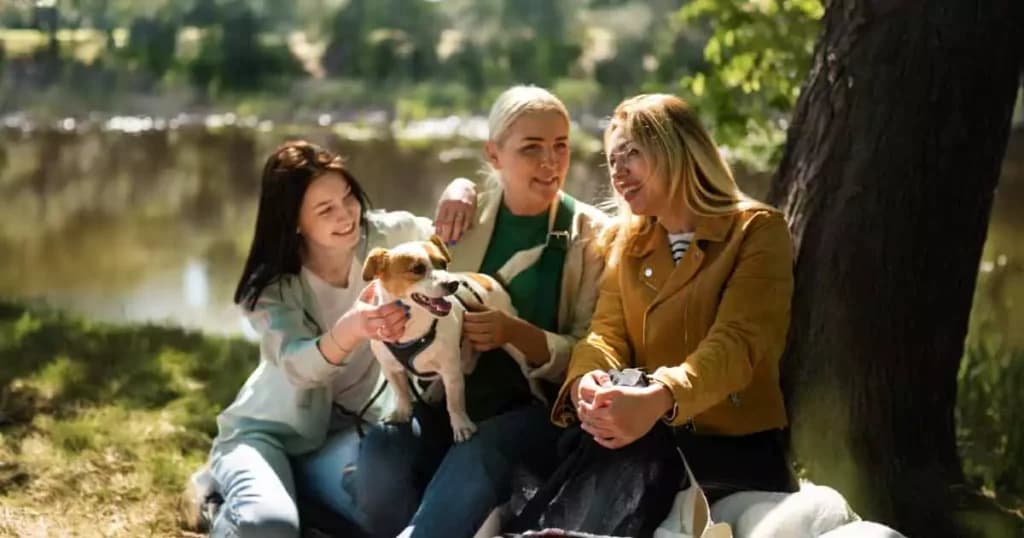 Socialisering af hunde: En guide til ejere